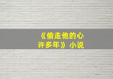 《偷走他的心许多年》 小说